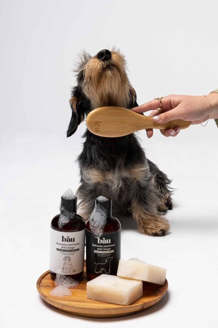 Pet Essential